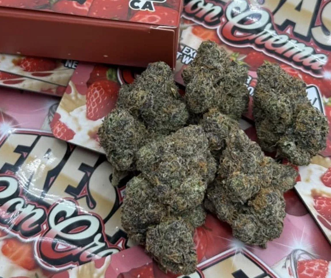 Screenshot 2026-03-31 at 7.34.20 PM