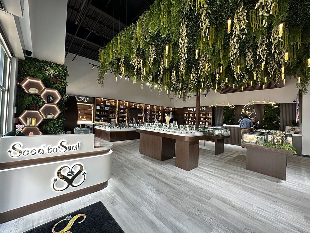 High Green Dispensary Reception Banner Image