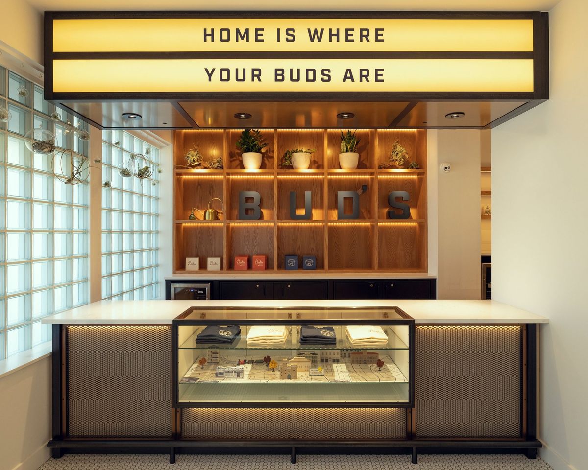 High Green Disposable Store